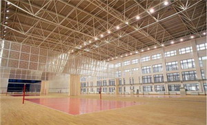 鋼構場館被選擇的原因和優點