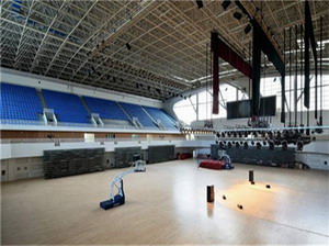 鋼構場館的破壞形式