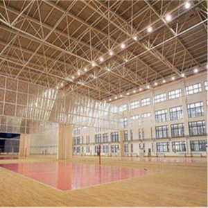 鋼構場館的設計原則